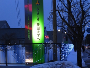 illumination01