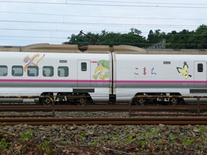 06